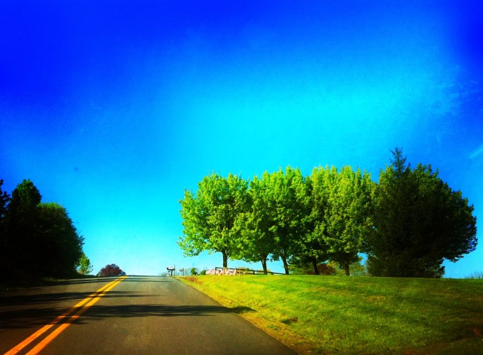 Photograph by Kathleen Babarsky.