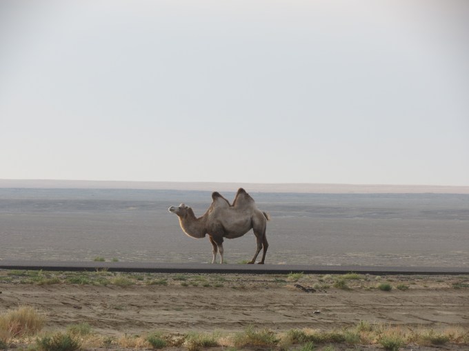 Photograph by Charla Allyn Hughes.