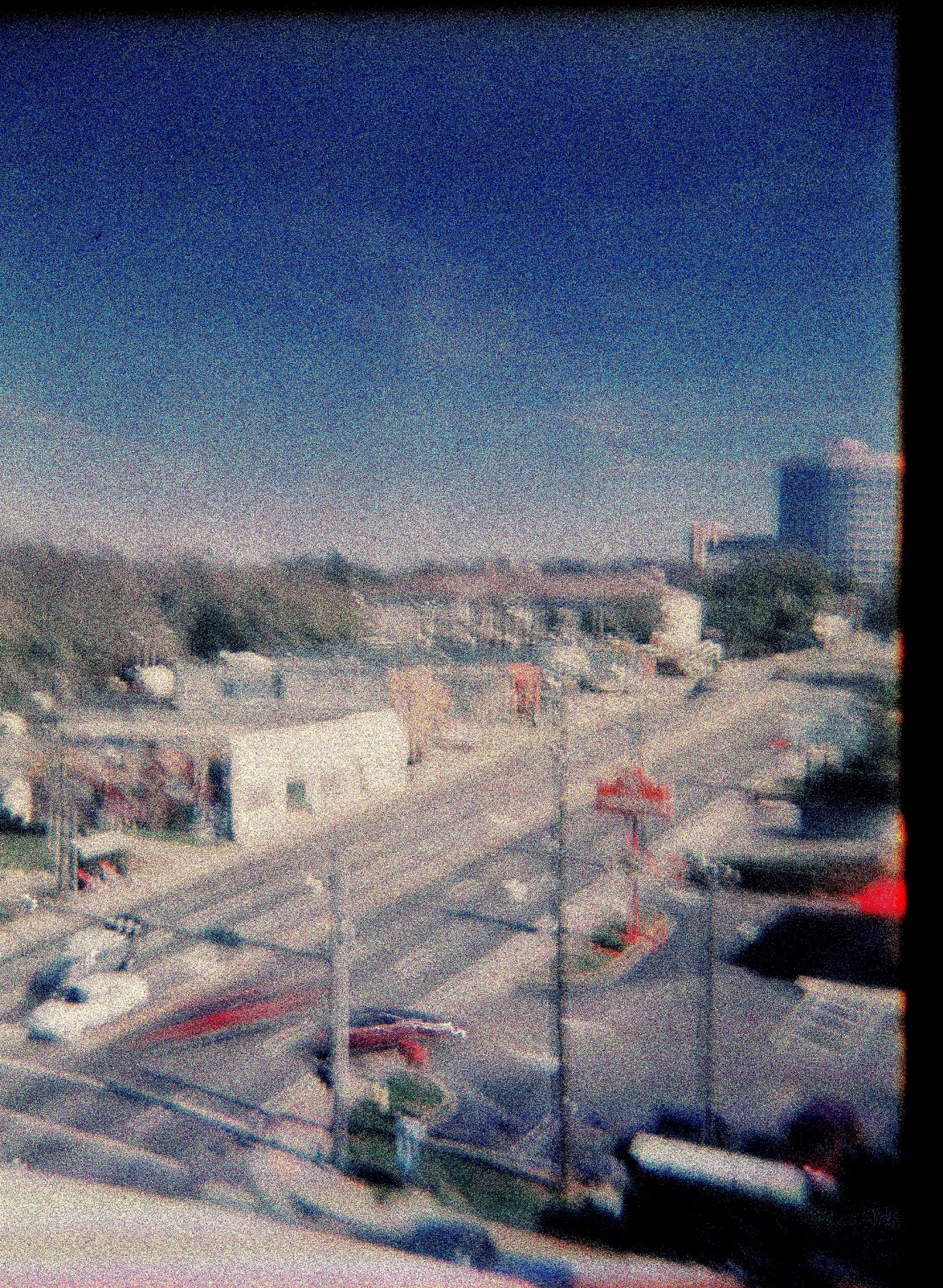 Photograph by Stephanie Cameron Kennedy.