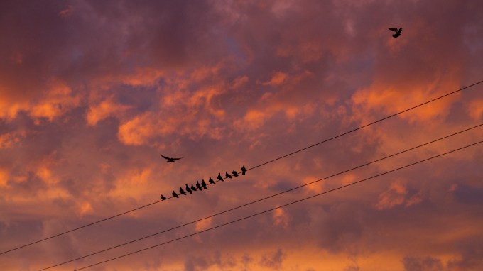 Newberry Springs, California 3