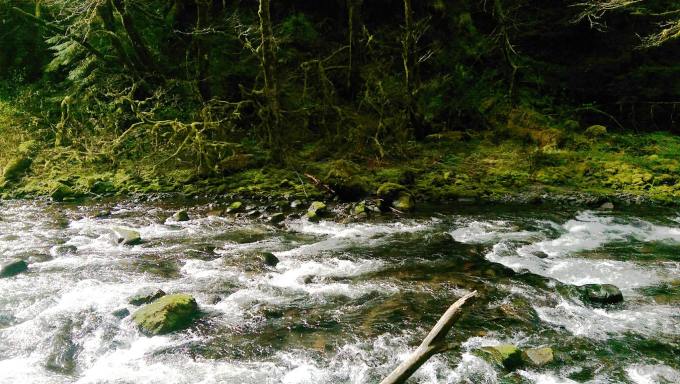 13323888_10107676608806263_266653616_o