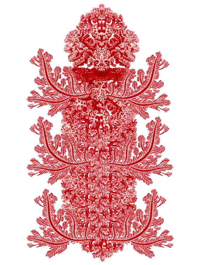 18_Attentive_As_Lightning_